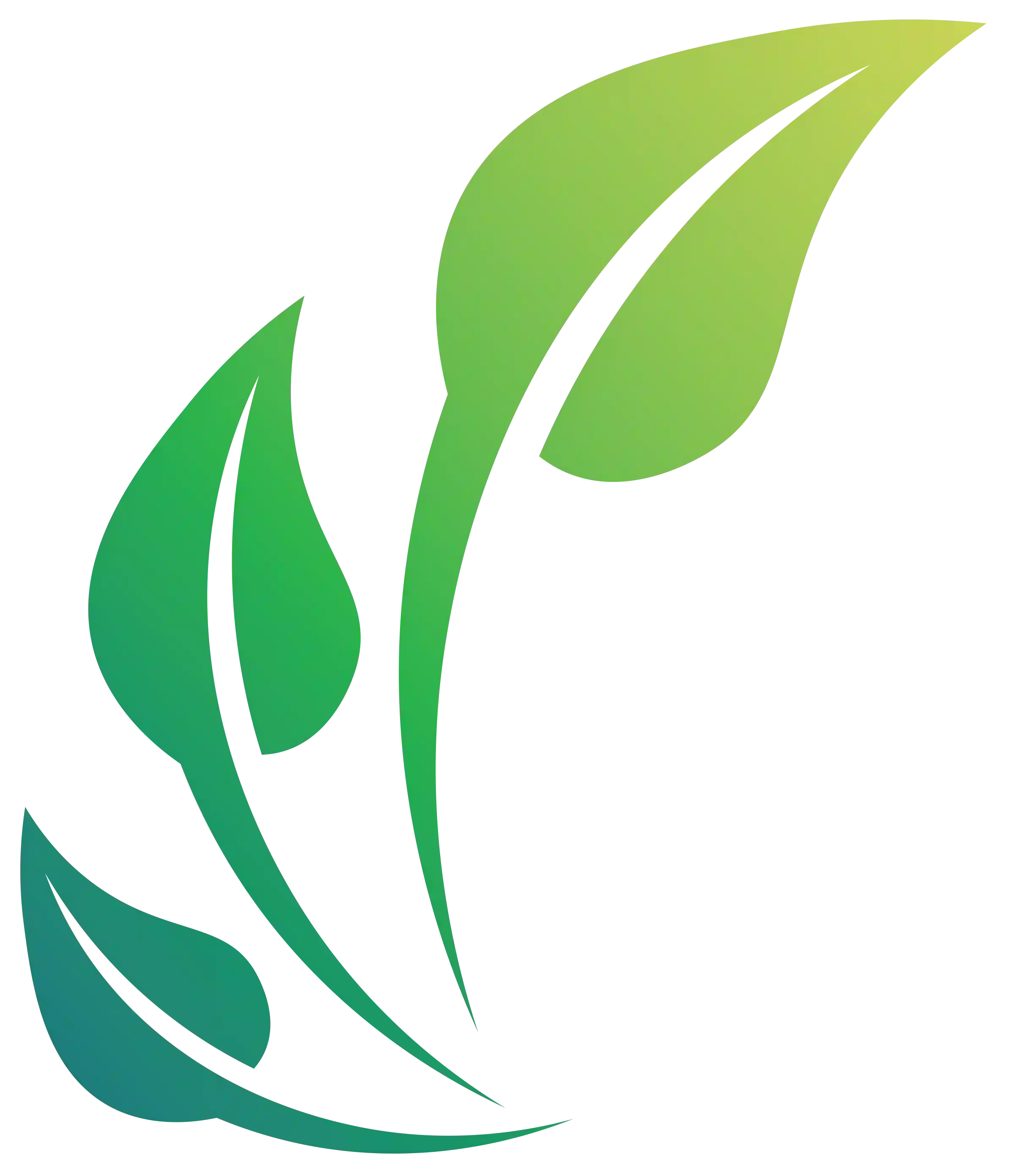 leaf